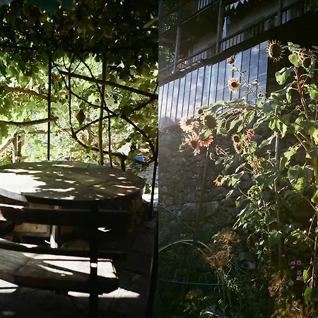 Da Toldo